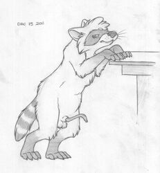 2011 anatomically_correct angry animal_genitalia animal_penis balls digitigrade erection feral greyscale male male_only mammal mizzyam monochrome pencil_(artwork) penis quadruped raccoon raccoon_penis reaching sheath solo spread_legs spreading table traditional_media_(artwork) vice_the_raccoon whiskers