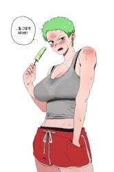 roronoa zoro from one piece by hogu