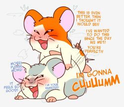 2boys anal animal_genitalia crushpepper hamtaro hamtaro_(series) hi_res male male/male male_focus male_only non-human non-human_only oxnard_(hamtaro) tagme toony