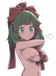 blush bow breasts cachemerro closed_mouth commentary covering_breasts covering_privates female frilled_bow frilled_ribbon frills front_ponytail green_eyes green_hair hair_ribbon hairbow kagiyama_hina large_breasts long_hair looking_at_viewer navel puff_of_air red_bow red_ribbon ribbon simple_background smile solo touhou upper_body white_background