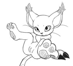 anthro anus clitoris clothing digimon feline female gatomon gloves legs_up looking_at_viewer mammal mostly_nude pawpads pussy seductive spread_legs spreading vulapa whiskers