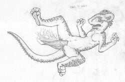 2011 anal anal_sex anthro anus argonian barefoot breasts claws featureless_breasts female greyscale horn long_tail lying mizzyam monochrome nude on_back open_mouth pain pencil_(artwork) penetration pussy scalie sharp_teeth simple_background solo spread_legs spreading teeth the_elder_scrolls toe_curl traditional_media_(artwork) vaginal_penetration vaginal_penetration video_games white_background