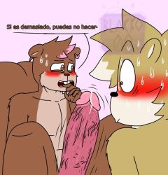 2024 anthro archy_(theblacko08) big_penis blush bodily_fluids brown_body brown_fur digital_drawing_(artwork) digital_media_(artwork) duo ear_piercing erection femboy fur genitals male male/male mammal nude penis piercing rodent sciurid scratchy_(bunnyangelbun) spanish_text sweat text theblacko08 tree_squirrel