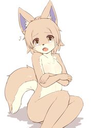 brown_eyes brown_hair canine furry kida_kuro_mu nude open_mouth short_hair