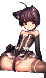 :o ahoge animal_ears arm_support bare_shoulders between_legs black_hair brown_eyes choker ecell elin_(tera) female lowres short_hair simple_background spread_legs tail tail_between_legs tera_online thighhighs white_background zettai_ryouiki