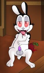 2016 animal_genitalia animal_penis balls big_balls bunnicula bunnicula_(character) erection fangs feral fur hi_res lagomorph looking_at_viewer male male_only mammal open_mouth penis presenting rabbit sheath smile solo zekromlover