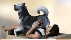 balls canine feral human husky laid laying licking on play sack smothering sucking testicle vulpineadonis weight weightplay