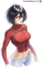 1girls ai_generated attack_on_titan black_hair color female female_focus female_only fit fit_female mikasa_ackerman muscular muscular_female narrow_waist priestofart red_clothing short_hair solo solo_female solo_focus tagme tagme_(artist) tagme_(character) thin_waist white_panties wide_hips