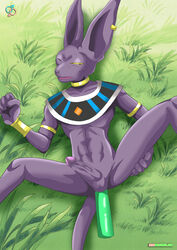 1boy anal anthro anthro_only bbmbbf beerus boner dildo dragon_ball dragon_ball_super erection male male_only outdoors palcomix purple_skin rear_deliveries solo solo_male tagme yaoi