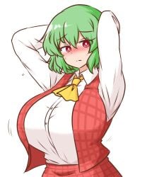 alternate_costume bare_shoulders blush breasts cloak commentary_request female green_hair huge_breasts kazami_yuuka looking_at_viewer mizusoba pout red_cloak red_eyes short_hair simple_background solo sweatdrop sweater sweater_vest touhou turtleneck turtleneck_sweater upper_body water_noodle white_background white_sweater_vest yuka_kazami