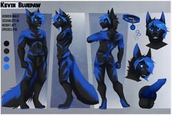 1boy 2015 aimi animal_genitalia animal_penis anthro balls black_fur blue_eyes blue_fur bridge_piercing canine canine_penis collar ear_piercing english_text erection facial_piercing fox fur kevinbluepaw looking_at_viewer male male_only mammal model_sheet nose_piercing nude pawprint penis piercing sheath solo standing text