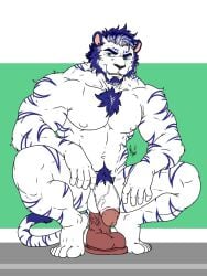 3:4 adult anthro beard blue_body blue_fur blue_hair body_hair chest_hair crouching dildo dildo_insertion dildo_penetrating_male dildo_penetration facial_hair felid fur genitals green_eyes hair hi_res humanoid_genitalia humanoid_penis hunterramirez male male_only mammal muscular muscular_anthro muscular_male pantherine penis sex_toy sex_toy_insertion solo stripes tiger tom_(hunterramirez) vein veiny_penis white_body white_fur