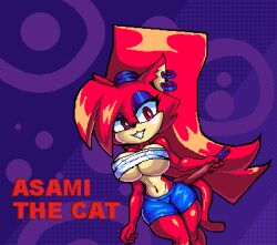 asami the cat from sega by anonidramon