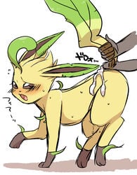 ambiguous_gender blush canine cum cum_on_back disembodied_penis eeveelution eyelashes feral japanese_text kiriya leafeon male mammal nintendo open_mouth paws penis pokemon simple_background teeth text video_games