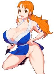 47_hard female female_only nami_(one_piece) one_piece