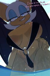 rouge the bat from sega by lawgx