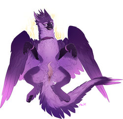 anus arith_(arith_the_gryphon) arith_the_gryphon avian beak bird cuntboy cuntboy_sans_balls erection feathered_wings feathers feral gryphon herm hermaphrodite intersex maim male maleherm multi_genitalia penis prehensile_penis pussy solo talons wings