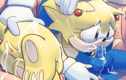 sonic the hedgehog from sega by maildowntheroad5416