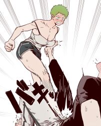 roronoa zoro from one piece by hogu