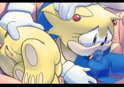 sonic the hedgehog from sega by maildowntheroad5416