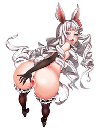 :d animal_ears anus ass bare_shoulders bent_over black_gloves black_legwear bunny_ears bunny_tail drill_hair elbow_gloves elin_(tera) female flower frilled_legwear gloves hair_flower hair_ornament highres long_hair looking_at_viewer looking_back lucknight nipples nude open_mouth purple_eyes pussy silver_hair smile solo spread_pussy tail tera_online thighhighs tongue tongue_out uncensored very_long_hair