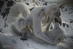 3d arctic_fox canid canine crouching digital_media_(artwork) duo female feral fluffy fluffy_tail fox fur genitals kissing lying male male/female mammal on_back outside pawpads penetration penis sherwood side_view signature snow tail true_fox vaginal_penetration