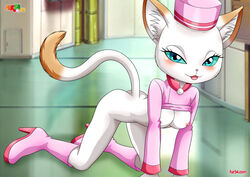 blinx_the_time_sweeper catherine_(blinx) female fur34 furry furry_only tagme