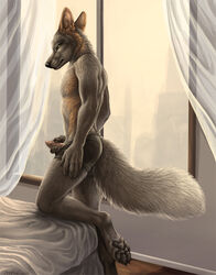 1boy 2016 anthro bed black_eyes boxer_briefs braden_longacre brown_fur canine claws clothed clothing cross_fox curtains erection fluffy_tail fox fur green_sclera grey_body grey_fur holding_penis inside looking_back male male_only mammal partially_clothed pawpads paws penis poking_out portrait rukis side_view solo standing topless underwear white_fur window