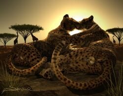 3d anus balls cheetah claws closed_eyes digital_media_(artwork) duo felid feline feral genitals holding_partner kissing lying male male/male mammal on_side outside pawpads rear_view sherwood signature tail