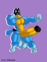 anthro balls bandit_heeler big_balls big_penis bluey_(series) genitals hi_res huge_balls huge_cock lumiink male musclegut muscular muscular_anthro muscular_male penis thick_thighs