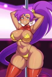 shantae (character) from shantae by daf n half