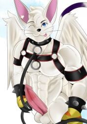 angel angelgatomon_(angelgato) anthro balls bandai_namco bedroom_eyes blue_eyes bottomless bracelet checkhoff claws clothed clothing collar digimon digimon_(species) feathered_wings feathers felid feline felis fur gatomon genitals gloves handwear harness hi_res jewelry leash leather leather_clothing leather_harness looking_at_viewer male mammal markings muscular muscular_anthro muscular_male narrowed_eyes one_eye_closed penis pose purple_markings ring seductive solo spiked_bracelet spiked_collar spikes tail tongue tongue_out tuft whiskers white_body white_fur white_skin wings wink winking_at_viewer