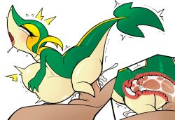 generation 5 pokemon from nintendo by hellsonger