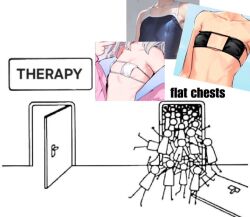 ambiguous_gender breasts femboy flat_chest male meme meme_reference tagme