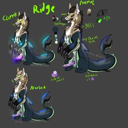 1boy 2015 amphibian cum english_text feral fur furry gills glowing glowing_eyes hi_res kagros looking_at_viewer male male_only mane model_sheet original_character penis precum ridge scales shoogoo sitting solo tail text tongue tongue_out watermark