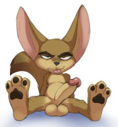 1boy anthro balls barefoot big_ears canine disney erection fennec finnick foreskin fox front_view humanoid_penis jerseydevil looking_at_viewer male male_only mammal pawpads penis reclining sitting solo spread_legs spreading tongue tongue_out uncircumcised uncut zootopia