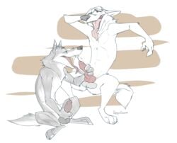 2boys 4_toes animal_genitalia animal_penis anthro black_wolf_(zootopia) canine canine_penis claws cum cumshot disney dragondrawer duo erection fellatio fur gay harry_(zootopia) knot male male_only mammal nude open_mouth oral orgasm pawpads paws penis sex simple_background teeth toes tongue tongue_out white_fur wolf yaoi zootopia