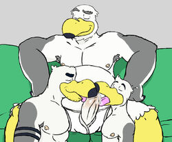 anthro avian ayden_(brogulls) bailey_(brogulls) bird brothers closed_eyes father father_and_son fellatio group group_sex incest joejim33 male oral parent penis seagull sex sibling son son_blowing_dad threesome wilson_(brogulls) yaoi