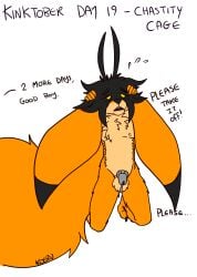 anthro aroused balls begging big_ears big_tail canid canine chastity_cage chastity_device enji_arklight fennec_fox fluffy_balls fox genitals hi_res kinktober kinktober_2024 kneeling koeru male mammal panicking simple_background solo tail true_fox