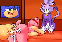 amy_rose blaze_the_cat blue_fur feline female furry hedgehog huge_cock male mammal penis pussy sonic_(series) sonic_the_hedgehog sonic_the_hedgehog_(series) straight superbunnygt viktor2