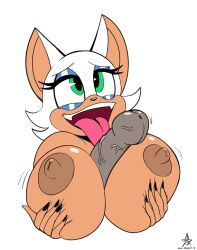 rouge the bat from sega by ncmentisart