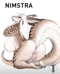 anthro anus balls big_balls big_breasts breasts claws dickgirl dragon hair hi_res intersex looking_at_viewer nimstra nude presenting scalie solo taihab voluptuous watermark