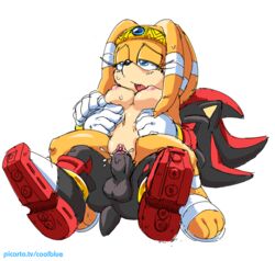 balls breasts coolblue cum cum_in_pussy echidna exposed_torso female footwear handwear hedgehog male mammal monotreme navel nipple penetration penis pussy shadow_the_hedgehog sonic_(series) tikal_the_echidna vaginal vaginal_penetration