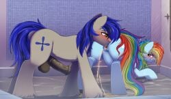 absurd_res aerial_ace animal_genitalia animal_penis balls bent_over blush bodily_fluids cunnilingus dinoalpaka duo earth_pony equid equine equine_genitalia equine_penis erection fan_character female feral_on_feral fetlocks friendship_is_magic genital_fluids genitals hasbro hi_res horse looking_back male male/female mammal my_little_pony mythological_creature mythological_equine mythology oral peeing pegasus penis pony pussy rainbow_dash_(mlp) raised_tail sex tail urine vaginal_penetration watersports wings