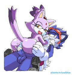 blaze the cat from sonic (series) by coolblue