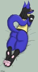 2016 anus ass bed black_fur blue_fur blush canine female fur jackal lucario lying mammal nintendo pawpads paws pokemon pokemon_(species) pussy red_eyes selixjackal simple_background smile solo spikes video_games yellow_fur