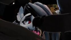 2futas 2girls 3d anthro anus areolae beast_bendy_(cryptiacurves) beast_darling_(cally3d) bendy bendy_and_the_ink_machine bendy_fem bendy_the_dancing_demon big_breasts black_body bouncing_ass bouncing_breasts bouncing_penis canid canid_demon clapping_cheeks close-up cock_ring collar female from_behind furry futa_on_female futanari hellhound helluva_boss huge_ass huge_cock huge_thighs intersex karelia_(acerattman) karelia_futanari_(acerattman) looking_at_viewer looking_down looking_up loona_(helluva_boss) low-angle_view mal0 malo masturbation music nipple_piercing nude open_mouth piercing pussy scp-1471 scp-1471-a scp_foundation sharp_teeth sitting skull_head sloppydragons smiler_(the_backrooms) sound spiked_collar stroking_penis surrounded_by_penises tagme tail the_backrooms thick_thighs tongue tongue_out twerking video voice_acted vrchat_avatar white_body wide_hips wolf wolf_girl