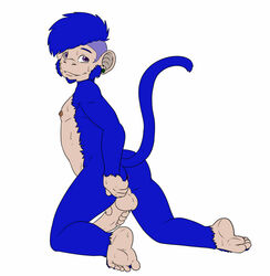 anus backsack balls barefoot bluepawpanda color erection flat_colors holding_ass holding_penis humanoid_penis inviting looking_at_viewer looking_back male male_only mammal monkey nipples nude penis perineum primate raised_tail rear_view solo