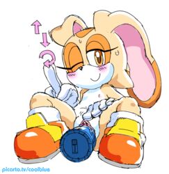 cream the rabbit from sonic (series) by coolblue