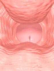 3d animated censored cervix close-up inside-view penetration penis pointless_censoring pussy sex source_request urethra vaginal_penetration wet